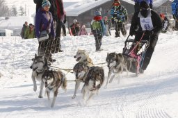 Lenk 2012 SM